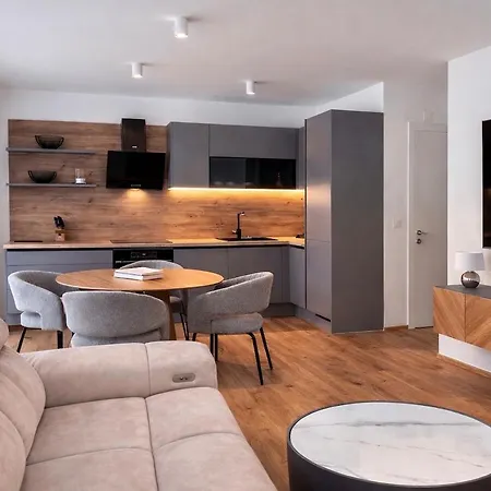 公寓 Luxury With Large Terrace And Free Ev Charging