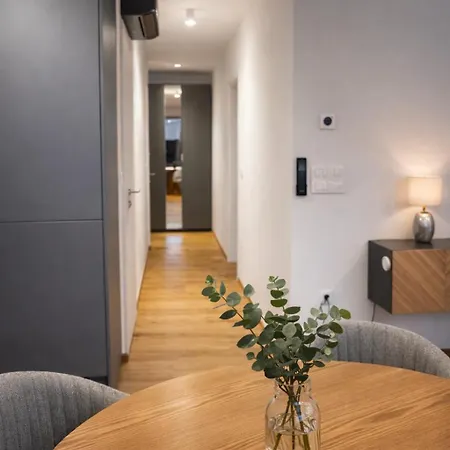 公寓 Luxury With Large Terrace And Free Ev Charging